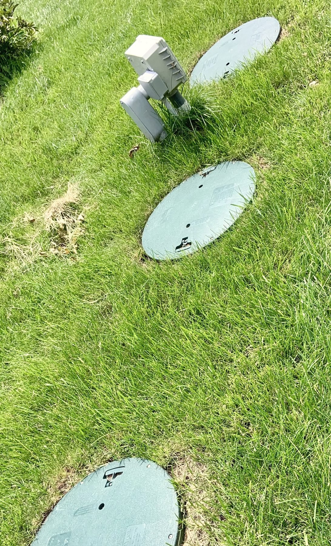 A round green plastic septic lid set flush in a lawn