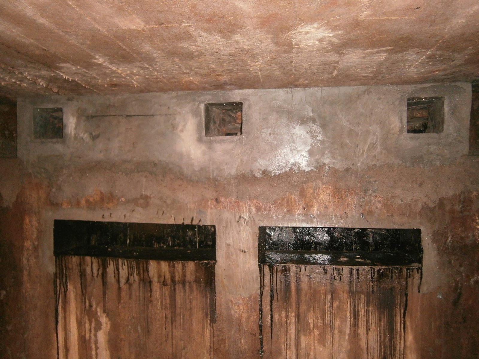 Inside a concrete septic tank, showing the baffle openings and stained walls